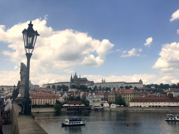 The Ladybug Chronicles Prague (8)