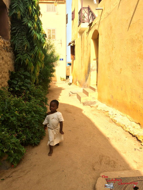 The Ladybug Chronicles Gorée Senegal (9)