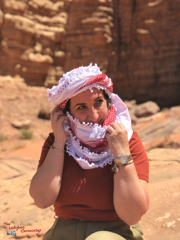The Ladybug Chronicles Wadi Rum (15)